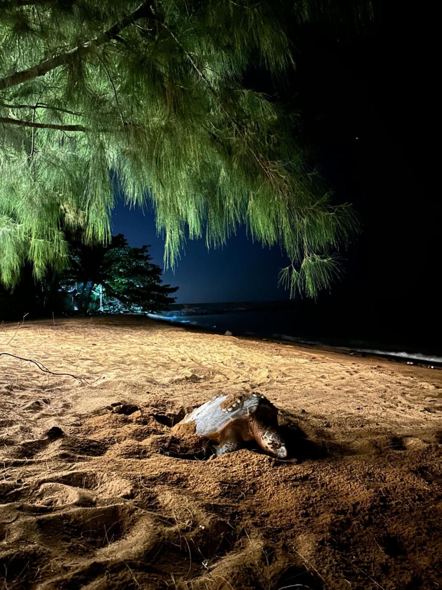 Beach N Breeze Glamping Malacca Kültér fotó